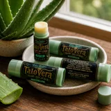 Four TaloVera Lip Balm tubes in a pot with an aloe plant, one uncapped